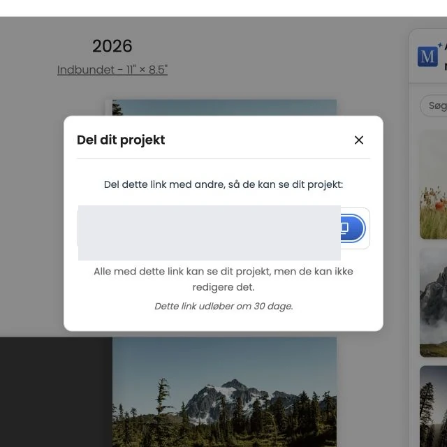 Vinduet Del dit projekt med det private link til forhåndsvisningen skjult